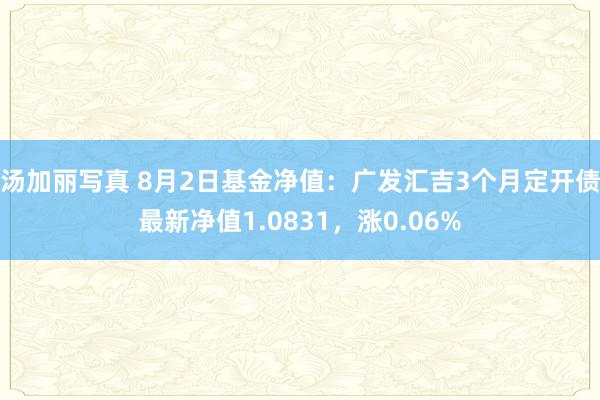 汤加丽写真 8月2日基金净值：广发汇吉3个月定开债最新净值1.0831，涨0.06%