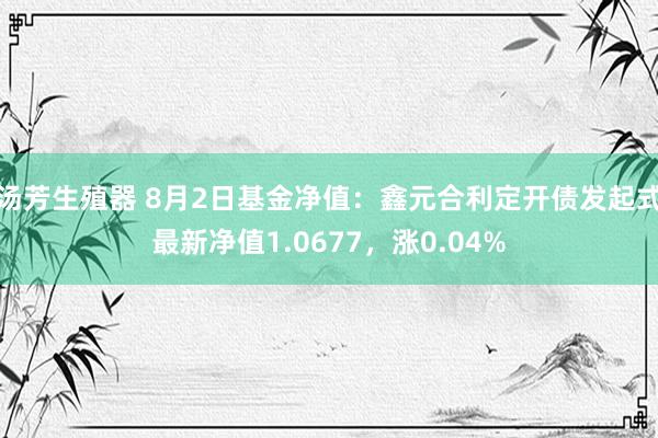 汤芳生殖器 8月2日基金净值：鑫元合利定开债发起式最新净值1.0677，涨0.04%